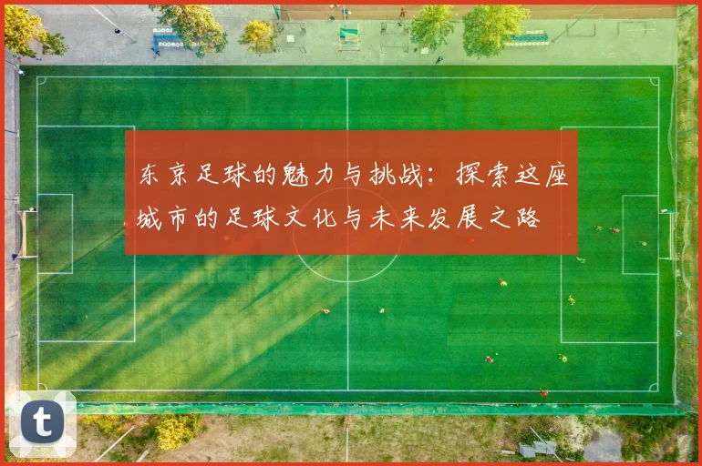 东京足球的魅力与挑战：探索这座城市的足球文化与未来发展之路