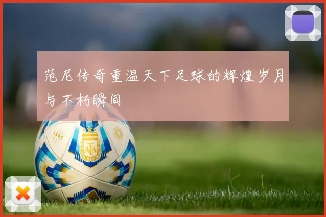 范尼传奇重温天下足球的辉煌岁月与不朽瞬间