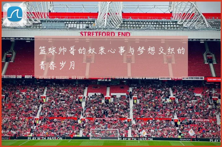 篮球帅哥的奴隶心事与梦想交织的青春岁月