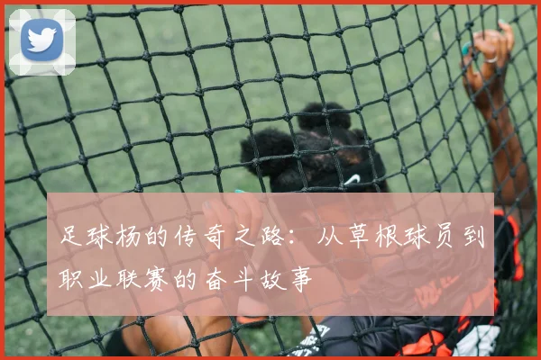 足球杨的传奇之路：从草根球员到职业联赛的奋斗故事