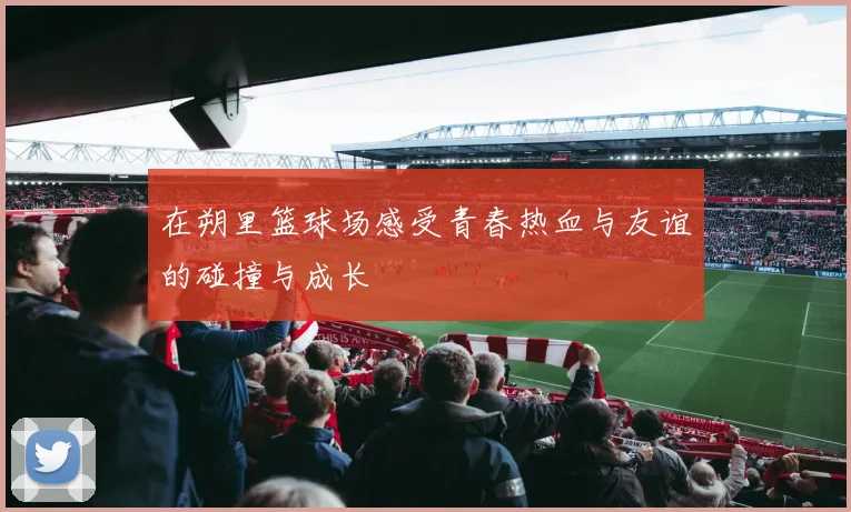 在朔里篮球场感受青春热血与友谊的碰撞与成长