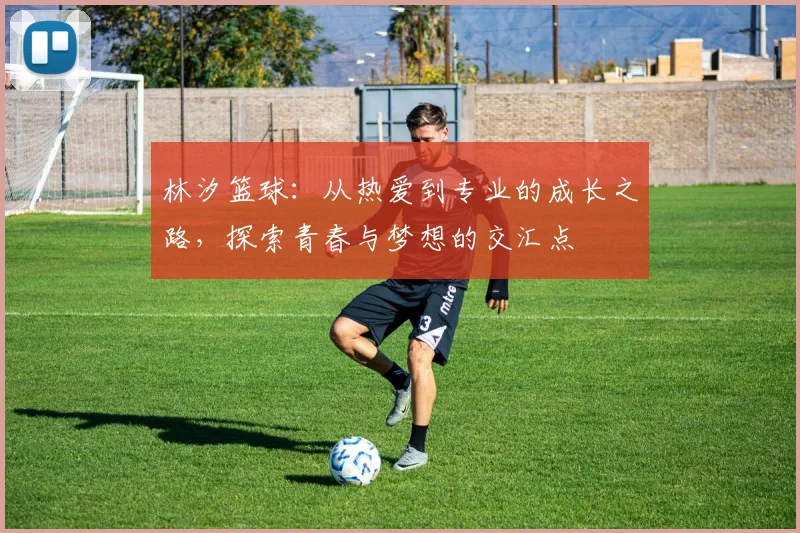 林汐篮球：从热爱到专业的成长之路，探索青春与梦想的交汇点