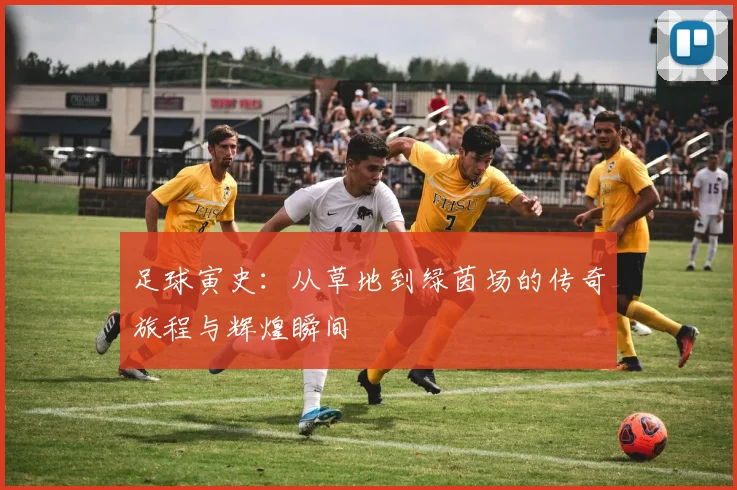足球寅史：从草地到绿茵场的传奇旅程与辉煌瞬间