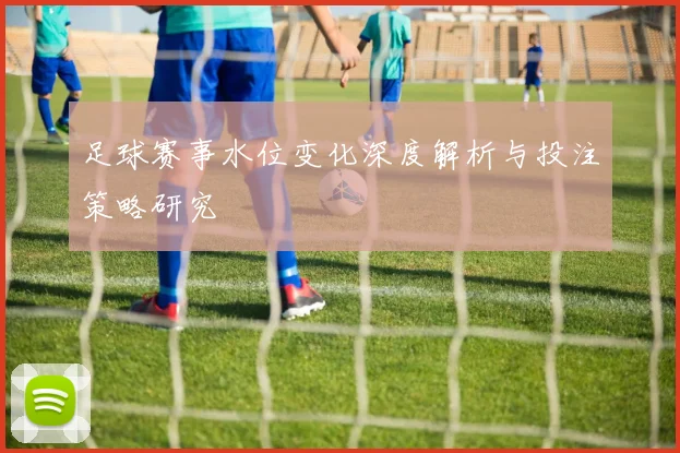足球赛事水位变化深度解析与投注策略研究