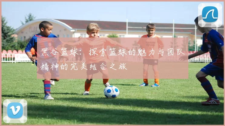 黑谷篮球：探索篮球的魅力与团队精神的完美结合之旅