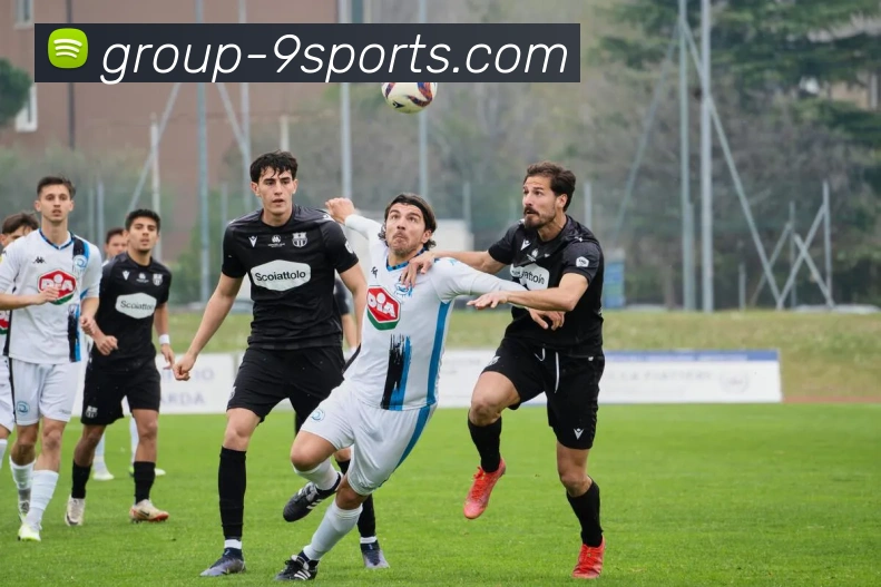 多媒体互动体验